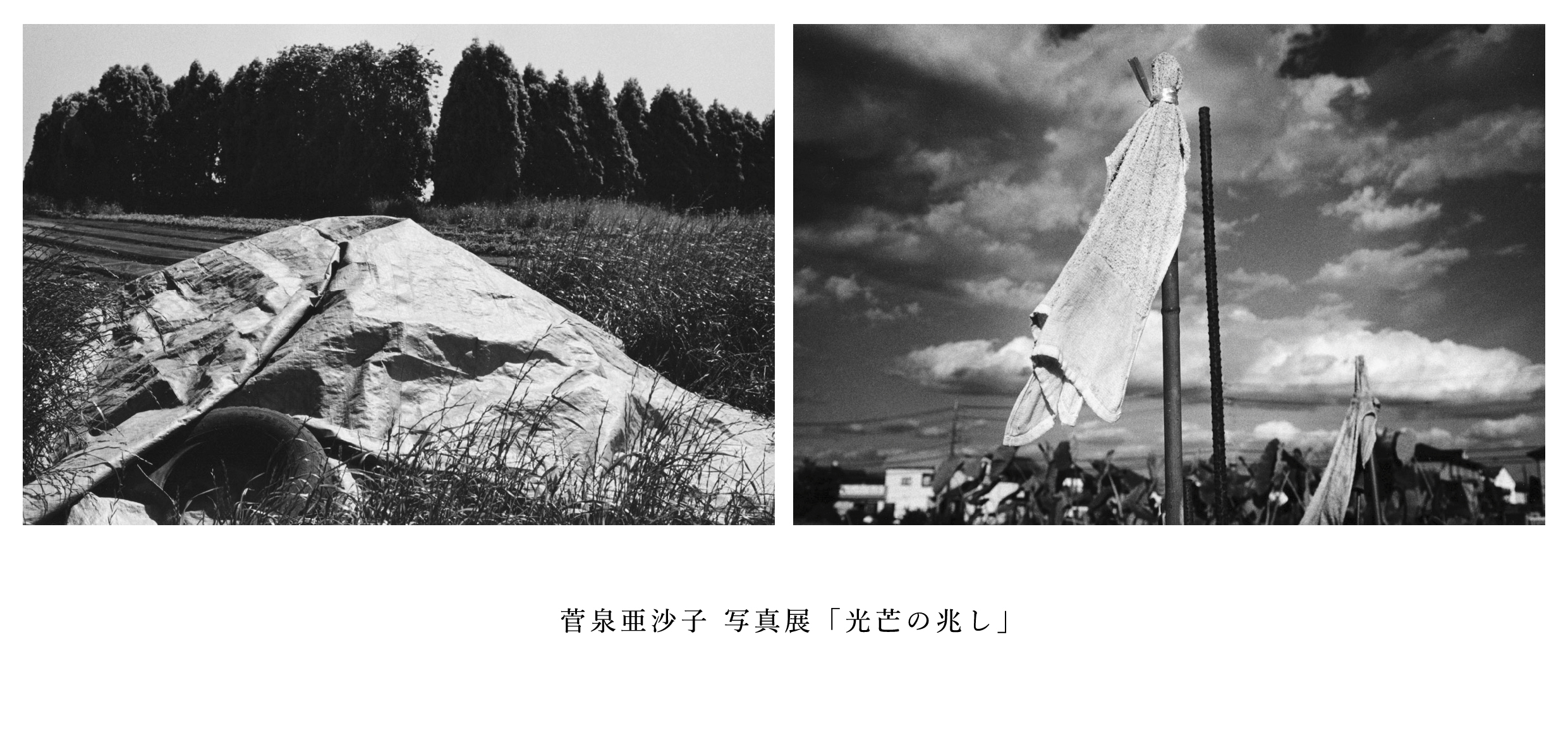 菅泉亜沙子 写真展「光芒の兆し」 – Alt_Medium | オルトメディウム